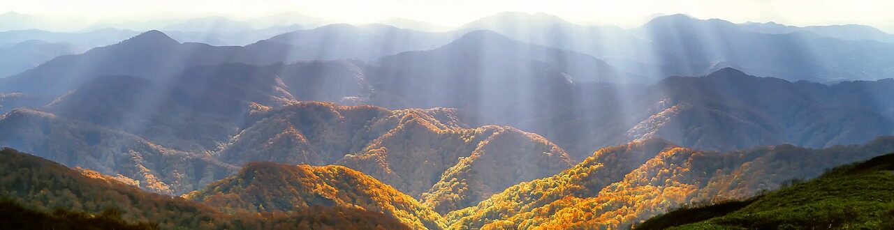 autumn-2183489_1280 virtual psychotherapy